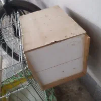 قفس پرنده