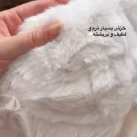 کلاه روسی خز شیری نرم و لطیف و کلاه کپ تدی شیری|لباس|همدان, |دیوار