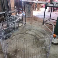 پارک سگ