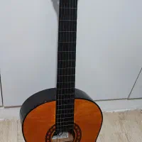 گیتار با تخفیف ویژه