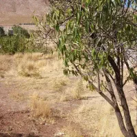 فروش زمین علی آباد