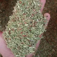 خارشتر خالص|لوازم جانبی حیوانات|گنبد کاووس, |دیوار