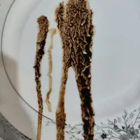 فال قهوه|خدمات پذیرایی، مراسم|مرند, |دیوار