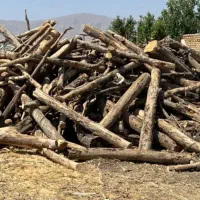 با سلام خرید انواع  چوب با بالا ترین قیمت