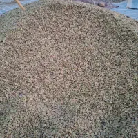 باقله