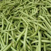 لوبیا سبز تحویل درب منزل