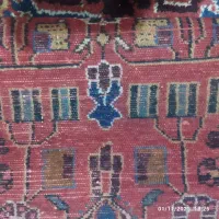 فروش 2 عدد قالی دستباف|فرش|ملایر, |دیوار