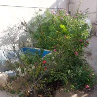 فروش-خانه-ی-ویلایی-با-صفا
