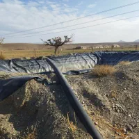 زمین در منطقه بهارستان صنوبر