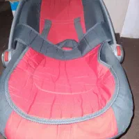 کریر سایه بان دار دلیجان|کالسکه و لوازم جانبی|اردبیل, |دیوار