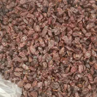 کشمش آفتابی|خوردنی و آشامیدنی|کرمانشاه, |دیوار