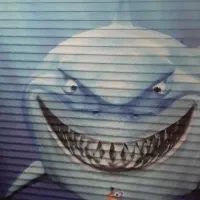 پرده زبرا ترک عکس دار