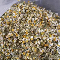 پخش عمده گل بابونه و برگ تیول و گیاه پلک و گل زوفا