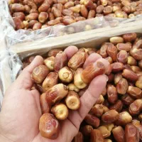 خرما زاهدی (قصب) امسال درجه یک عسلی