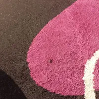 گلیم فرش ۹متری|فرش|شیراز, دوکوهک|دیوار