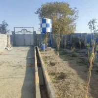 پانصد-مترباغچه-چهاردیواری-درشهریار