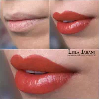 تخفیف ۲۰ درصدی روی خدمات میکروبلیدینگ و شیدینگ لب|خدمات آرایشگری و زیبایی|تهران, هفت حوض|دیوار