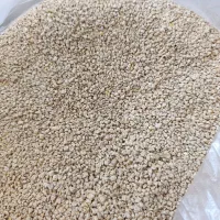 استارتر جوجه بلدرچین