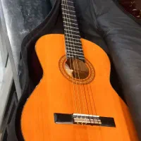 گیتار آریاAk20