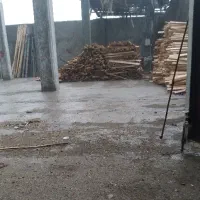 نیاز به شاگرد