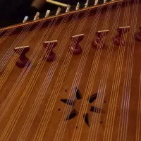 سنتور بسیار تمیز