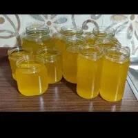روغن و کره محلی کردستان|خوردنی و آشامیدنی|تهران, آرژانتین|دیوار