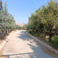 زمین-باغی-پردیس-ملوسجان