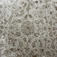 فرش ۹ متری ۱۲۰۰ شانه نخ ابریشم فروش به علت مهاجرت|فرش|تهران, گیشا|دیوار
