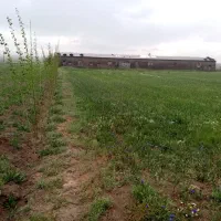 زمین-کشاورزی-قیمت-مناسب-با-موقعیت-مناسب