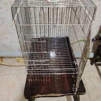 دو عدد قفس پرنده|لوازم جانبی حیوانات|اصفهان, ارغوانیه|دیوار