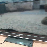 دوعدد تلویزیون ال سیدی