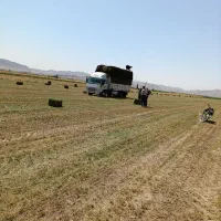 یونجه پرس