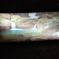 تابلو قیمت ۵۰۰هزارتومان|لامپ و چراغ|اصفهان, صدف|دیوار