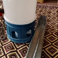 جای آب متوسط.جای دانی کوچک کبوتر