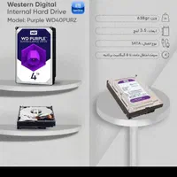 هارد اینترنال بنفش ۴ترا