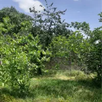 512-متر-باغچه-خیابان-صنعتگران