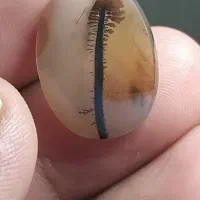 سنگ شجر|جواهرات|اراک, |دیوار