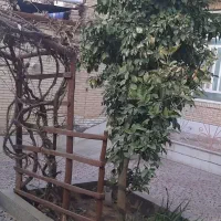 فروش-منزل-همکف-پشت-باسکول-غلام-علی-پور