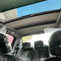 ۲۰۷ پانا دستی