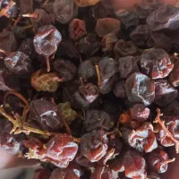 کشمش مویز آفتابی|خوردنی و آشامیدنی|نجفآباد, حومه نجف آباد|دیوار