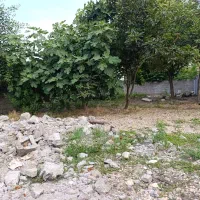زمین تجاری و مسکونی/ 167متر /بر داوان محله