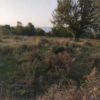 زمین خارج بافت زارعی|فروش زمین و ملک کلنگی|فریم, |دیوار