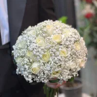 گلفروشی آنلاین|گل و گیاه طبیعی|رشت, پستک|دیوار