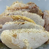 عسل طبیعی کوهستانهای چل چمه