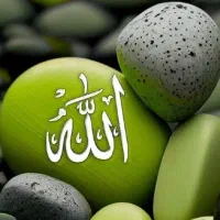 کت کتاب فروشی