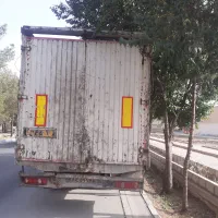 اویکومسقف-فنی سالم