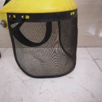 کلاه باغبانی|فعالیت داوطلبانه|لنگرود, |دیوار