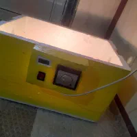 قیمت آگهی ۲ میلیون|لوازم جانبی حیوانات|شاهین دژ, |دیوار