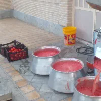 آبگیری گوجه سیاردرب منزل شما|خدمات پیشه و مهارت|بروجرد, |دیوار