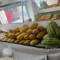 پالت میوه سفارشی ساز